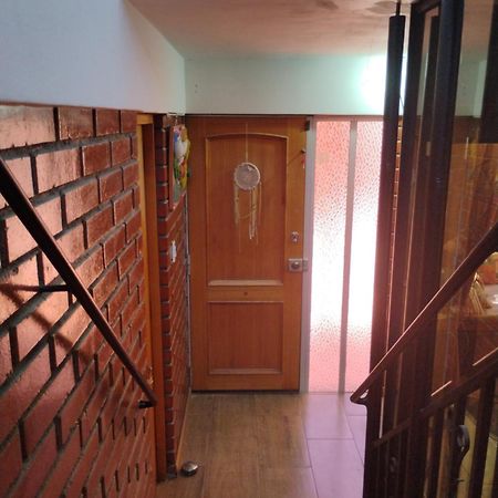 Vicuña Hostal Donde Rita מראה חיצוני תמונה