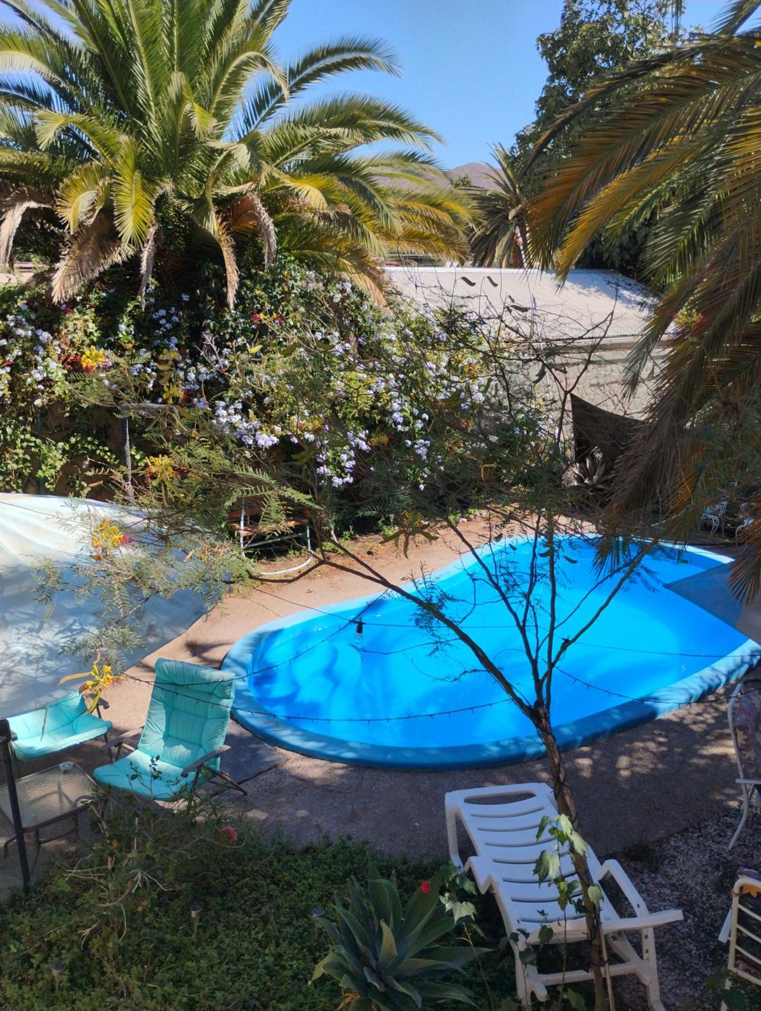 Vicuña Hostal Donde Rita מראה חיצוני תמונה