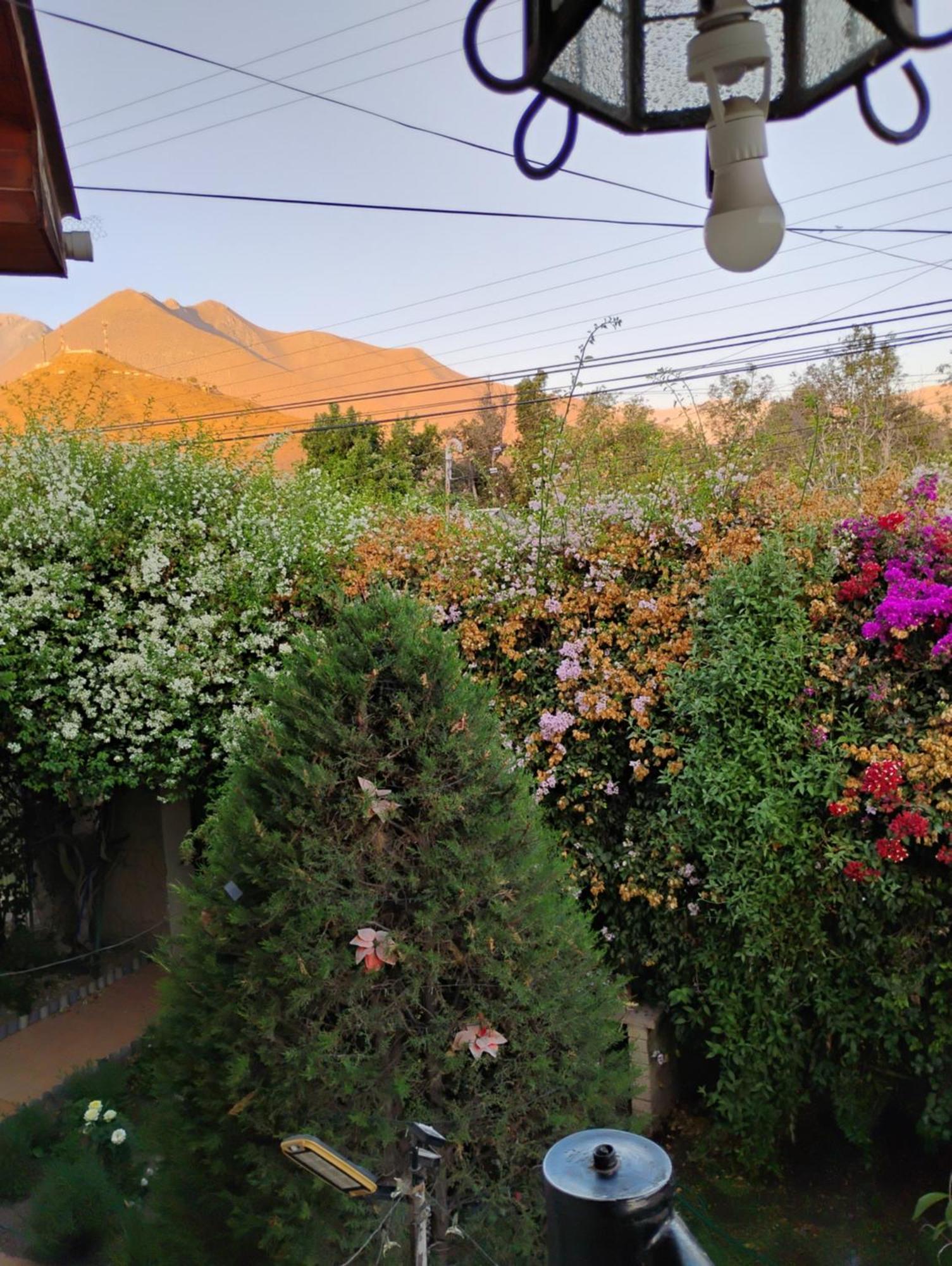 Vicuña Hostal Donde Rita מראה חיצוני תמונה